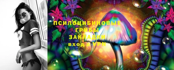 марки lsd Гусиноозёрск